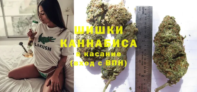 Каннабис OG Kush  наркошоп  мега маркетплейс  Новороссийск 